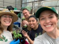 Four people in a greenhouse holding up small plants for a group selfie.